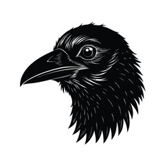 head of crow