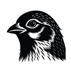 vector illustration of a bird