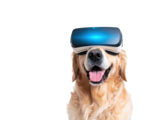 A golden retriever wearing a virtual reality headset, displaying a joyful expression.