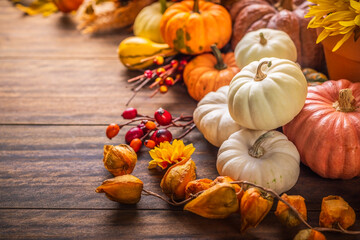 Still life with pumpkins, autumn fruits and plants, Thanksgiving arrangement with copy space