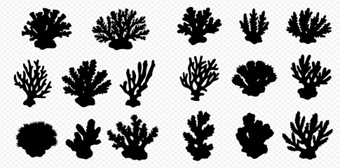 A collection of diverse black coral and seaweed silhouettes on a transparent background.