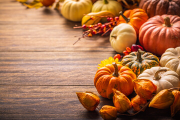 Still life with pumpkins, autumn fruits and plants, Thanksgiving arrangement with copy space