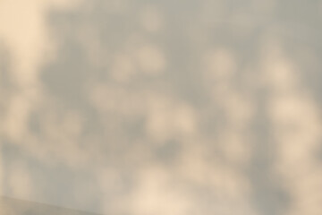 自然光が作るやわらかな影のテクスチャ