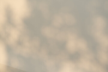 自然光が作るやわらかな影のテクスチャ