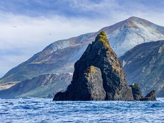 Rock  pillar by Sandy Beach on Macquarie Island