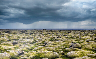 Rain storm over moss covered lava field, Iceland