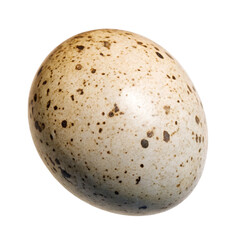 Speckled bird egg with brown spots on white isolated on a transparent background