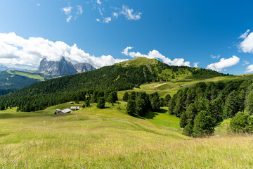 Obraz premium Mountain Landscape with Green Meadows and Alpine Houses