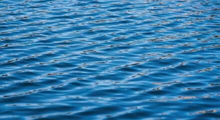 Rippling blue water surface with sunlight reflections
