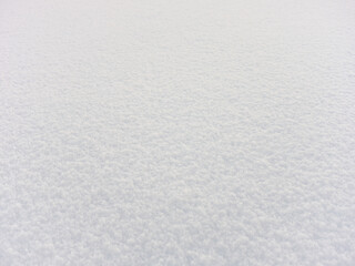 一面に降り積もった雪