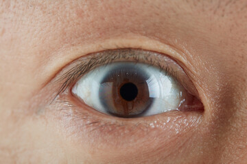 Fototapeta premium 目