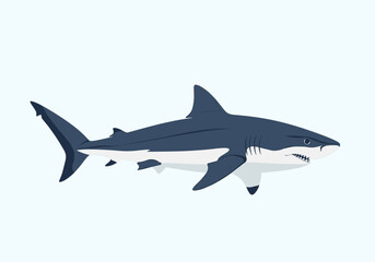 Fototapeta premium A fierce great white shark swimming gracefully through the deep blue ocean waters displaying its powerful jaws and sleek body