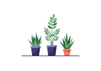 Obraz premium Three different potted plants on a shelf representing home decor ideas