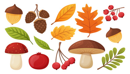 Autumn set with leaves, mushrooms, berries and acorns