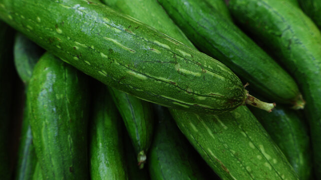 Fresh organic ridge gourd (tori) with natural green skin,  close up shot showing texture and freshness, healthy seasonal vegetable rich in nutrients, perfect for food, agriculture and market concept