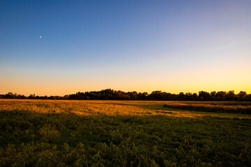 Obraz premium sunset over the open field with completely clear sky