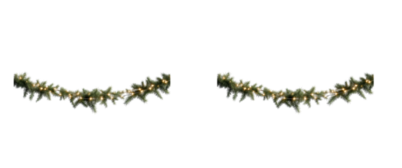 Festive evergreen garland with warm glowing fairy lights on transparent, cut out