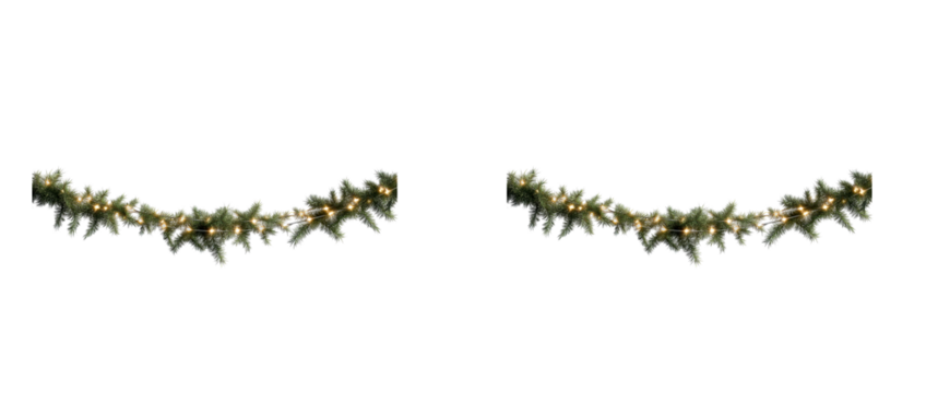 Festive evergreen garland with warm glowing fairy lights on transparent, cut out