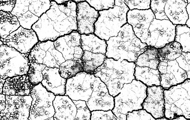 Detailed Cracked Ground Texture with Intricate Patterns for Digital Compositing and Visual Effects, Ideal for Creating Realistic Surface Details