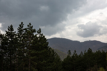 Forest on the hill and cloudy sky