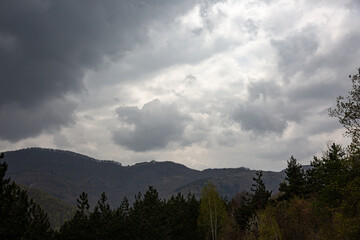 Forest on the hill and cloudy sky