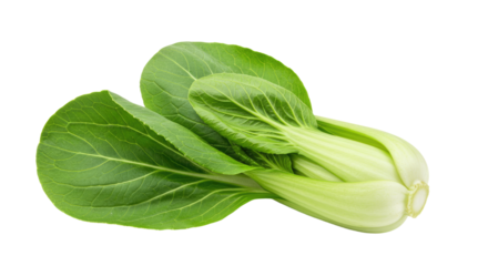 Fresh green bok choy vegetable isolated 2.
