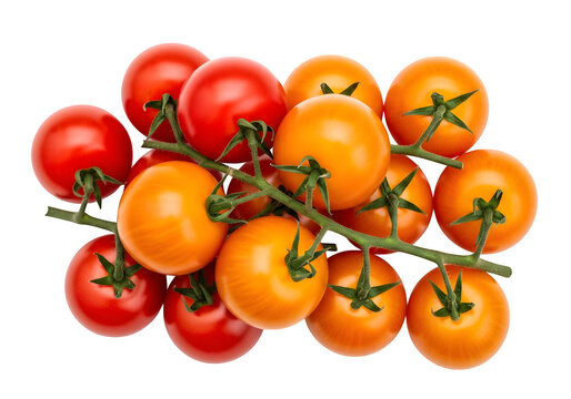 A bunch of fresh red and yellow cherry tomatoes on the vine, vibrant colors, isolated on transparent background, perfect for healthy eating