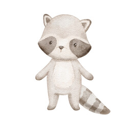 Watercolor cute woodland animal, little raccoon, hand drawn illustration for baby. Isolated drawing