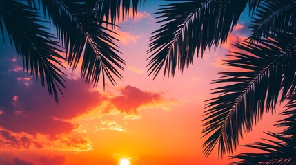 Tropical Sunset Silhouette: Palm Fronds Frame Vibrant Sky