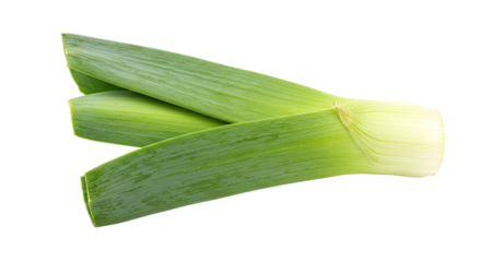 Fresh green leeks vegetable isolated on white.
