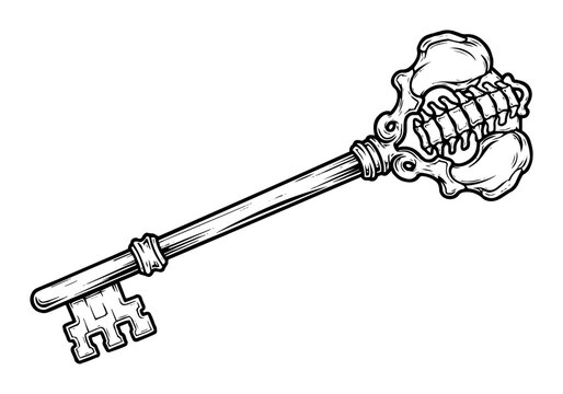 vector skeleton key with bone spine handle illustration