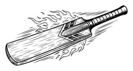 vector flaming cricket bat illustration © Aisha Kudorova