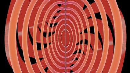 A mesmerizing tunnel of glowing red concentric rings creates a hypnotic, futuristic illusion, drawing the eye inward toward an infinite depth of symmetry and light.