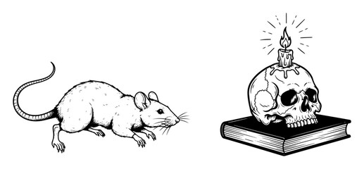 skull with candle on book and rat vintage sketch vector