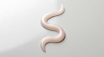 Fototapeta premium Mockup of a single sshaped swirl of light pink cosmetic cream isolated on a white background with soft shadow for commercial usage