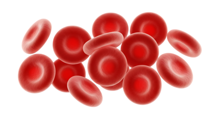 Red blood cells microscopic view isolated on a transparent background