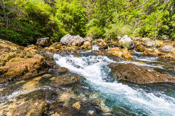Sources des Gillardes à Pellafol