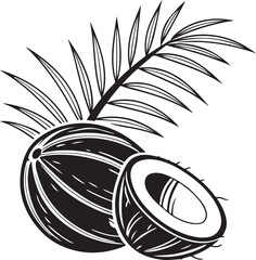 Coconut Fruit with Palm Leaf Vector Illustration – Black and White Tropical Design