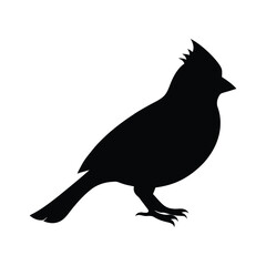 Silhouette of a northern cardinal bird with a prominent crest detailed contour avian creature