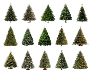 PNG Variety of decorated Christmas trees, element set on transparent background