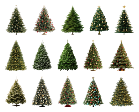 PNG Variety of decorated Christmas trees, element set on transparent background