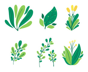 collection of leaves and branches for decoration and elements