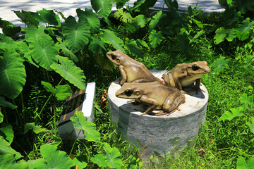 Satun Province, Thailand- 20 April 2016: Scenery nature trail at Thale Ban National Park, famous tourist attraction
