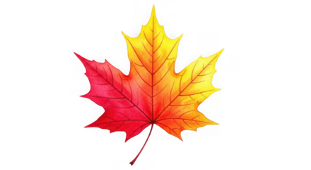 A single maple leaf with vibrant red and yellow gradient colors, isolated on a white background