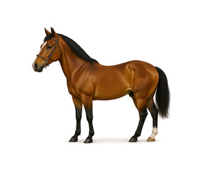 Obraz premium Brown horse isolated on white background ai generated image 