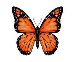 Fototapeta premium butterfly on white background ai generated image 