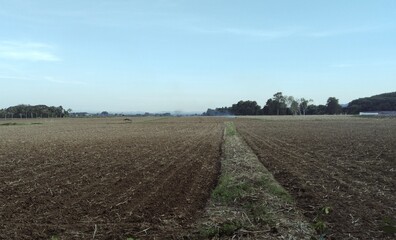 Plowed field in different seasons and times of day with rural farmland landscape under the sky