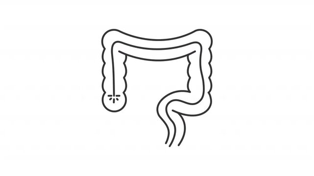 Animated colonoscopy line icon. Examine inside of large intestine and rectum animation. Medical procedure and equipment. Outline element on white background. HD video with alpha channel