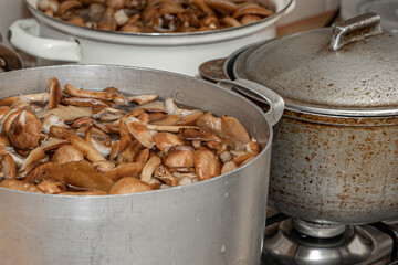 Delicious honey mushrooms in a ceramic plate . Honey fungus (Armillaria mellea) mushrooms in the...