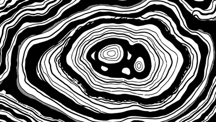 Abstract black and white concentric rings, resembling a layered geological formation